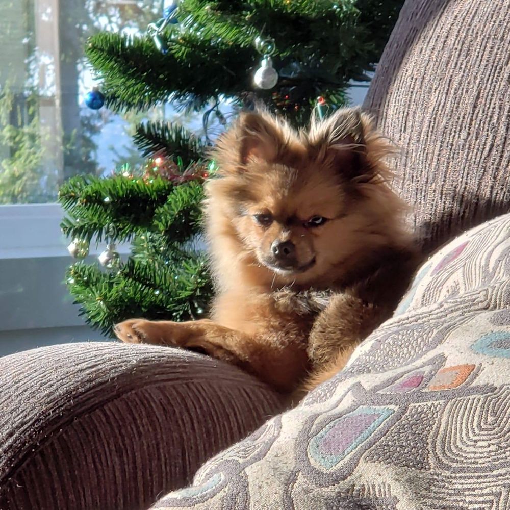 Meet your Posher, Terri